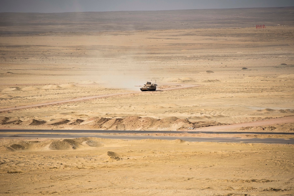 Multinational team of Joint Terminal Attack Controllers directs combined live fire exercise