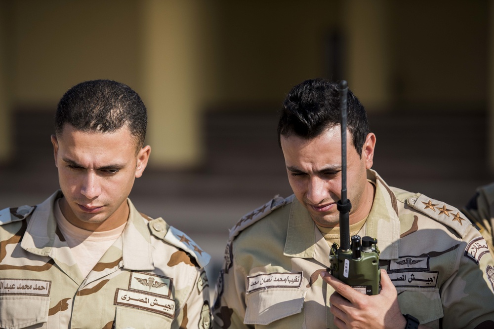 Multinational team of Joint Terminal Attack Controllers directs combined live fire exercise