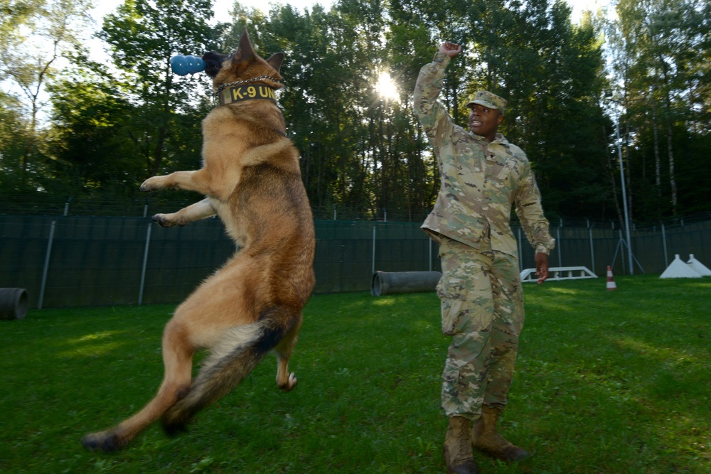 where are police dogs trained