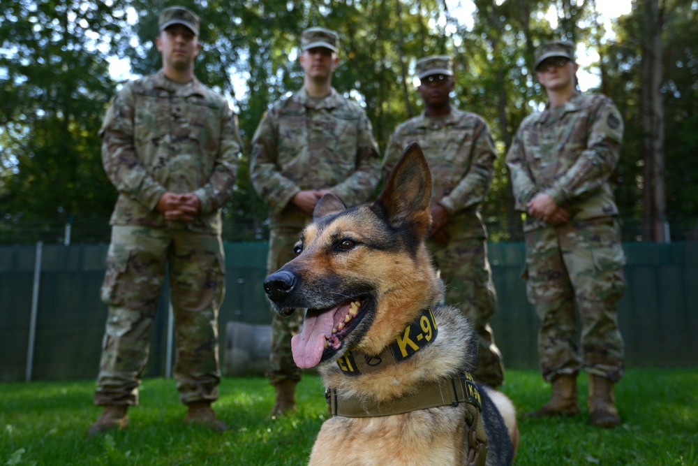 Train sales police dogs