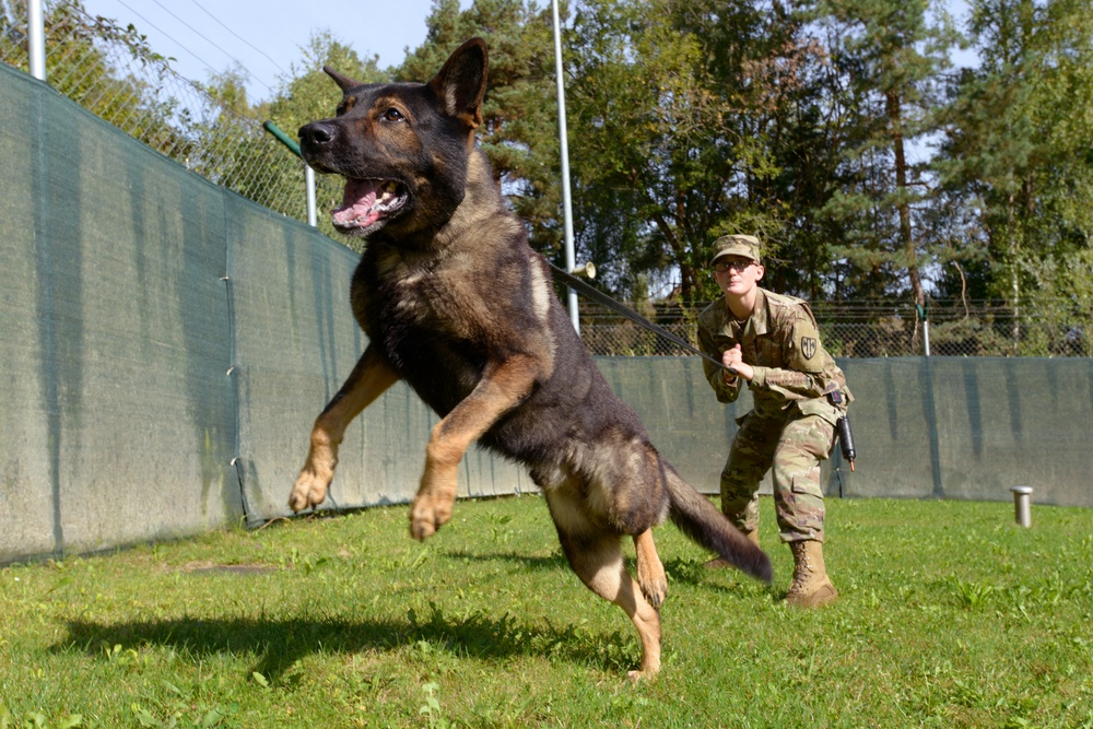 are police dogs trained in germany