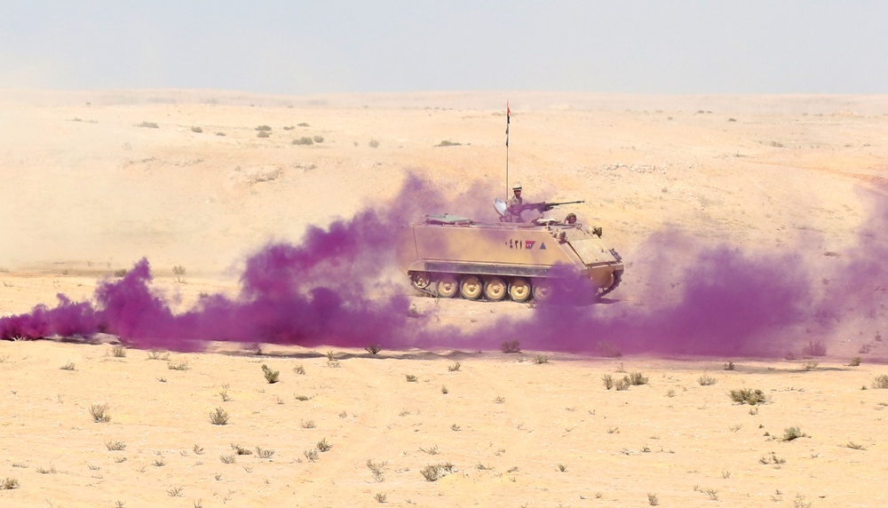 Jordan, Egypt, U.S. forces combine for STX lane