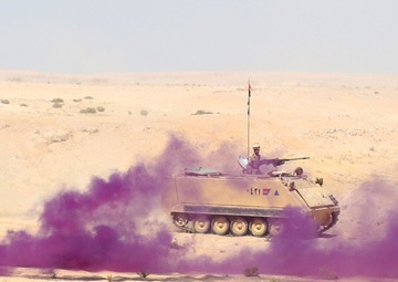 Jordan, Egypt, U.S. forces combine for STX lane