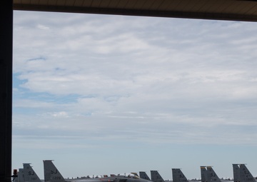 Green Flag East convert combat training experience to evacuation efforts