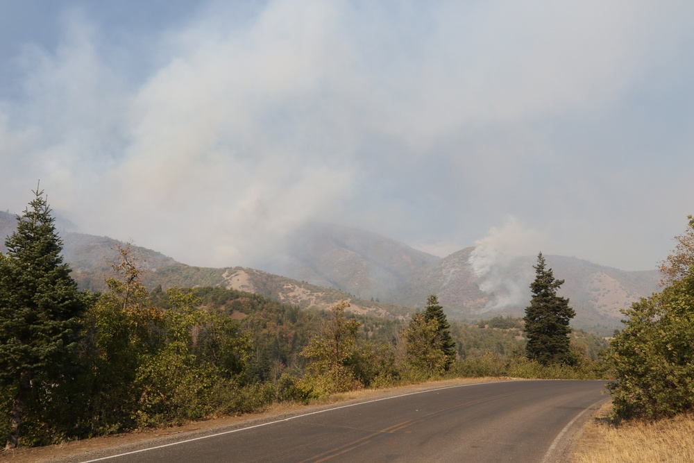 Fighting the Fire in Payson Canyon