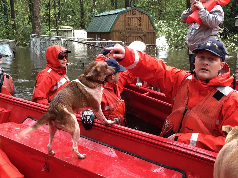 Coast Guard rescues people, pets near Riegelwood, N.C.
