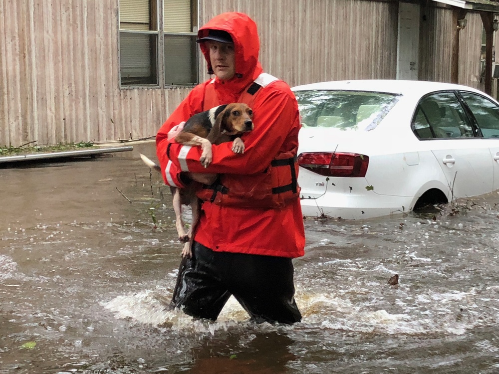 Coast Guardsmen Rescues Dog from Flodwaters