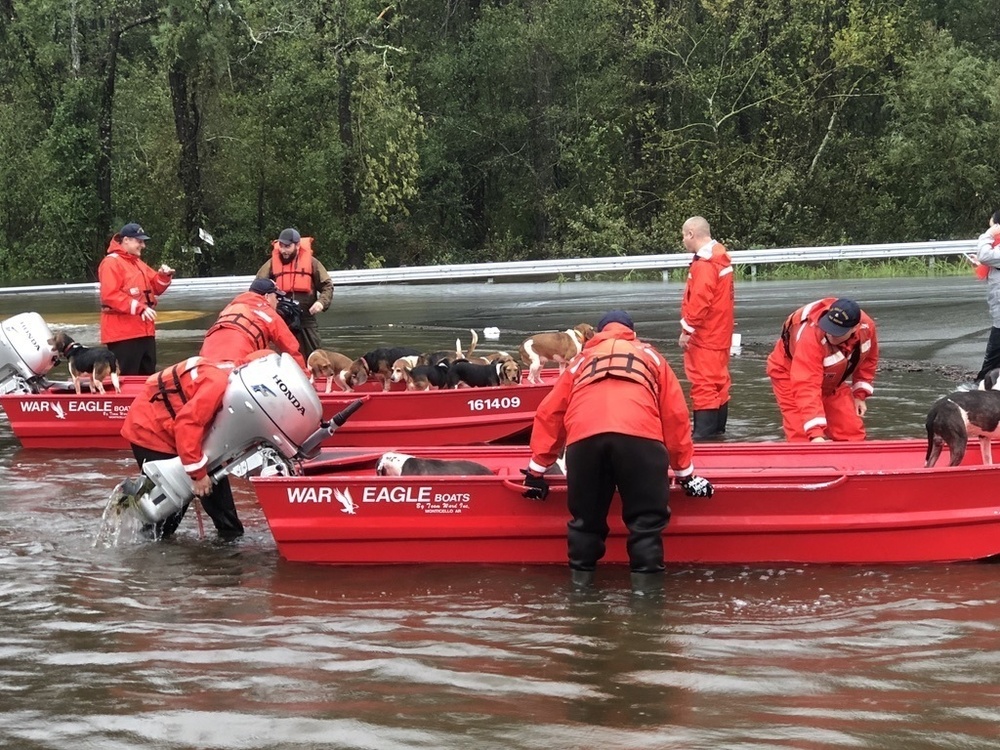 Coast Guard rescues owners and pets from floodwaters