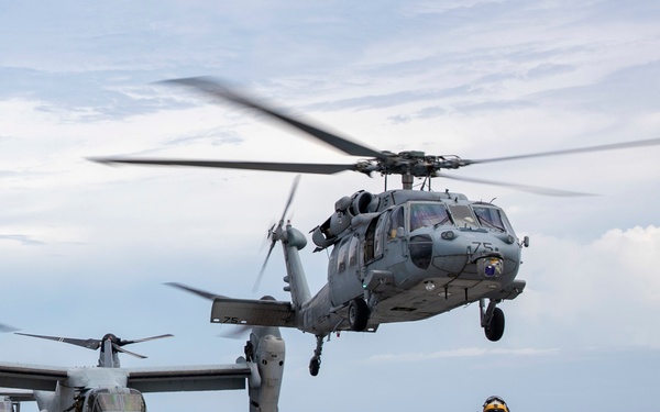 Florence Observation Flights