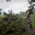 Headquarters Regiment Marines clean up after Hurricane Florence