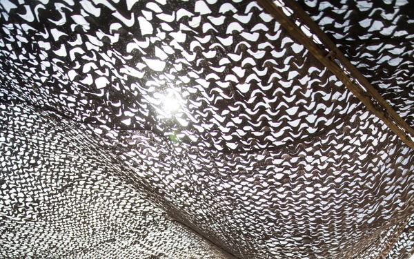 Marines set up for a demolition range