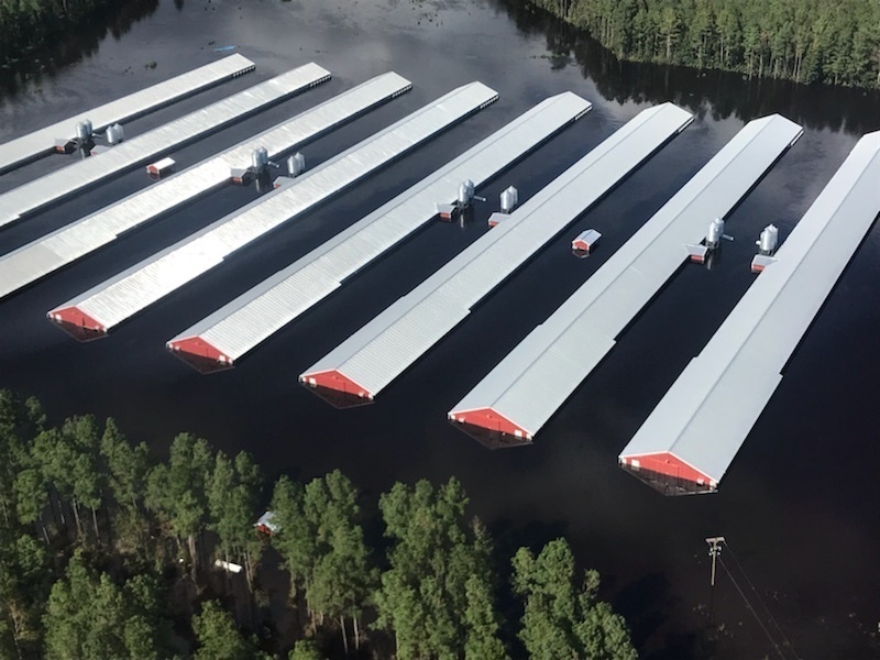 106th Rescue Wing Hurricane Florence Rescue Effort