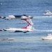 U.S. Air Force Thunderbirds perform at the Atlantic City Airshow