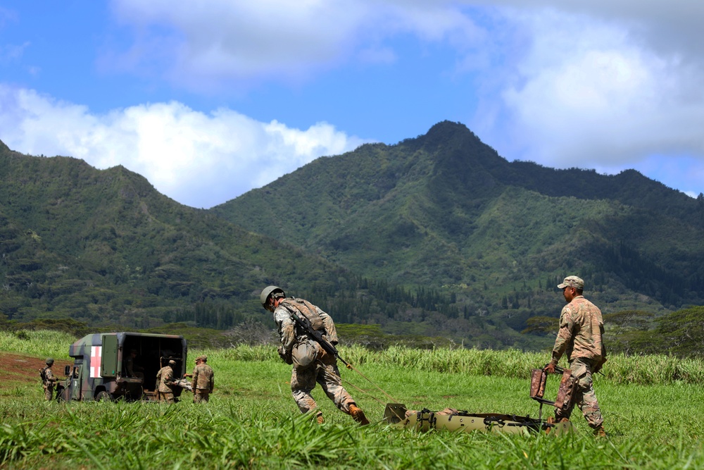 U.S. Army Hawaii Expert Field Medical Badge