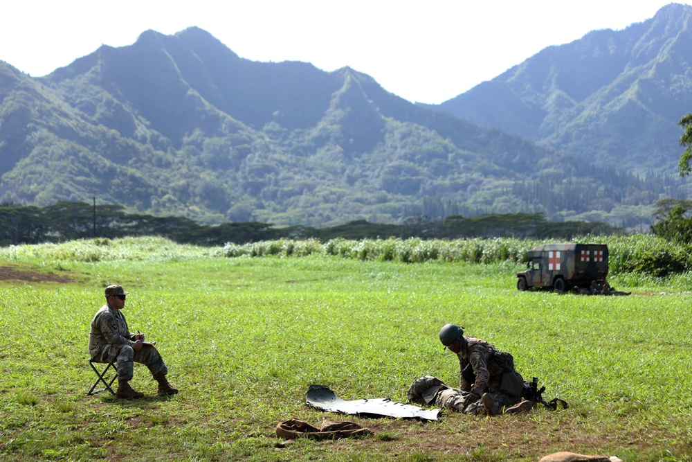 U.S. Army Hawaii Expert Field Medical Badge