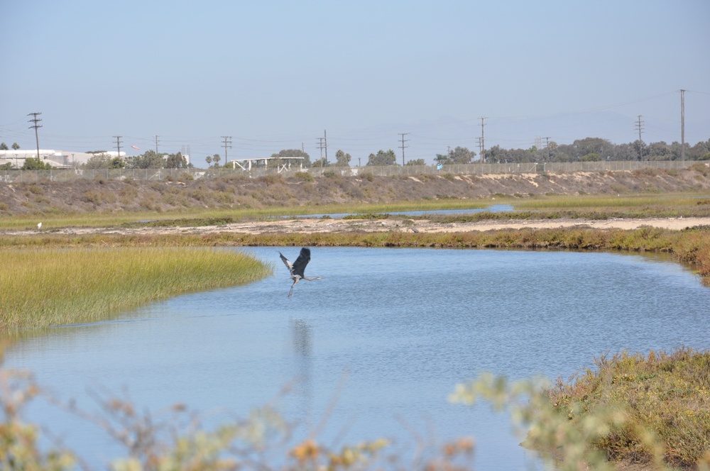Corps hosts cleanup event at Santa Ana River Marsh