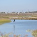 Corps hosts cleanup event at Santa Ana River Marsh