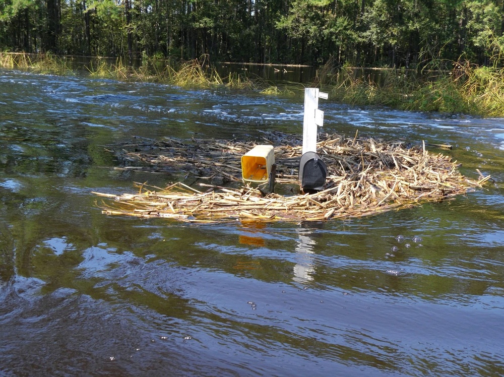 Hurricane Florence Flooding in Robeson County, North Carolina