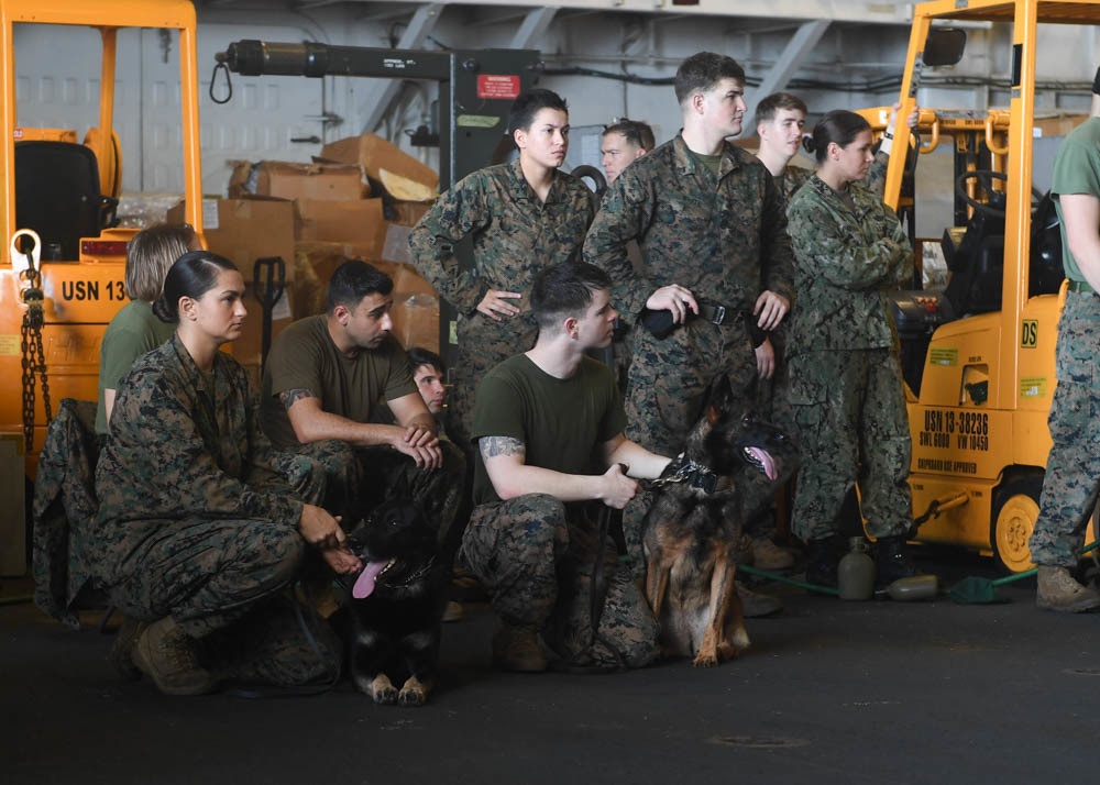 USS Wasp Military Working Dog Training