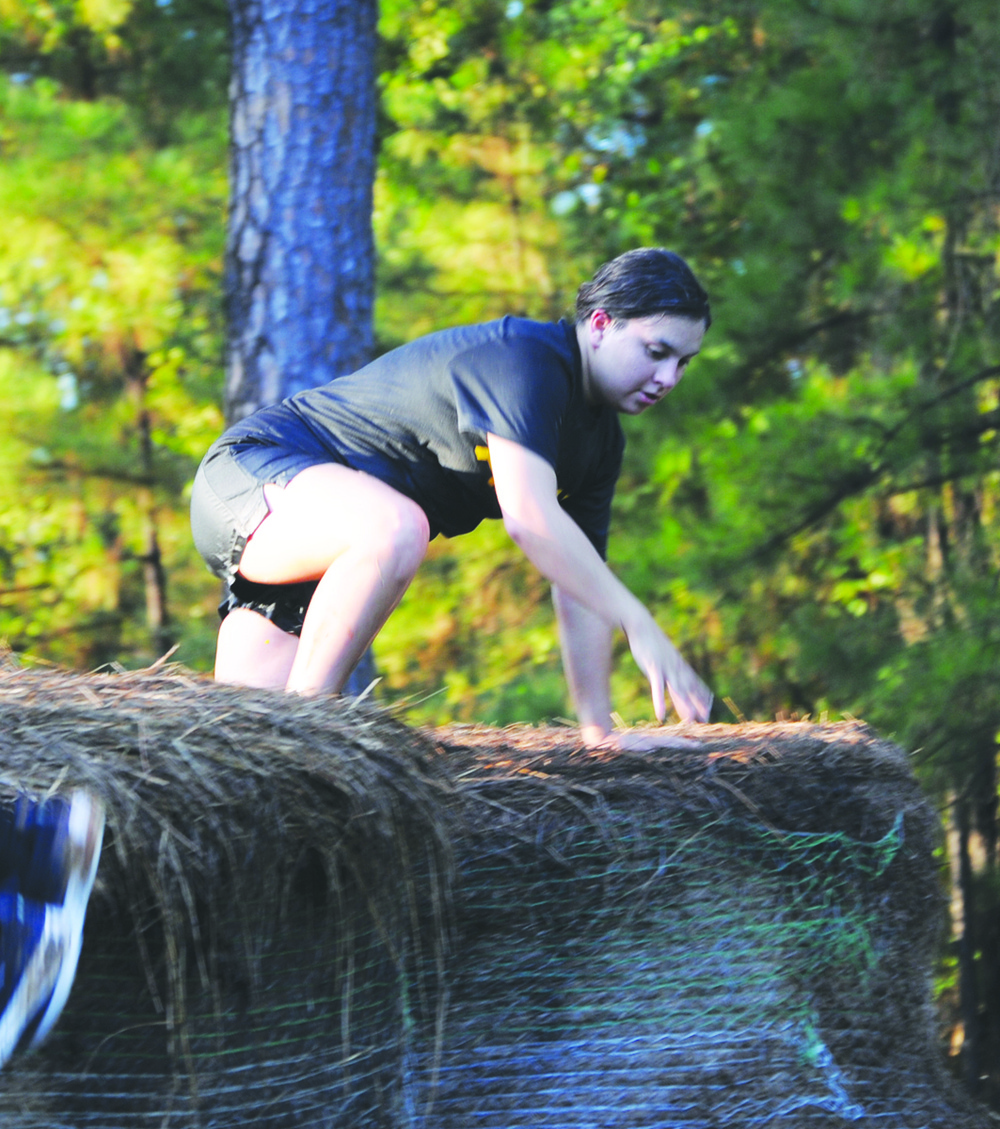 Hay bales