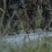 31st MEU Marines and Sailors clear the way after Typhoon Mangkhut in Rota, CNMI