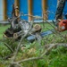 31st MEU Marines and Sailors clear the way after Typhoon Mangkhut in Rota, CNMI