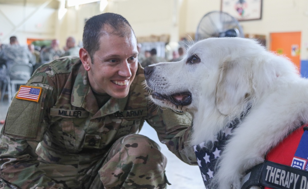 USO therapy dog visits with Soldiers responding to Hurricane Florence