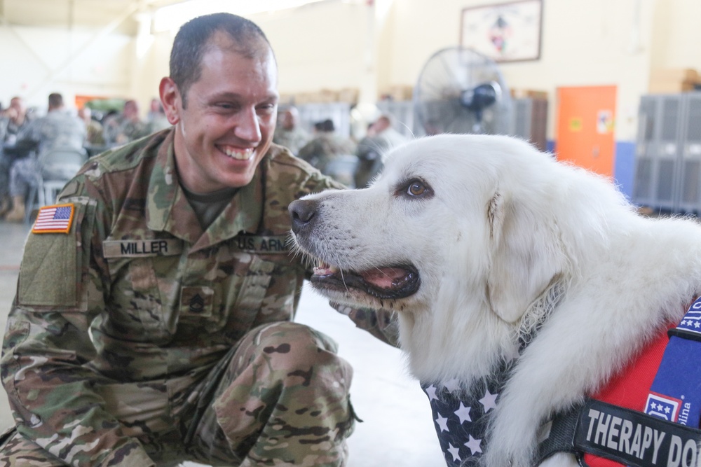 USO therapy dog visits with Soldiers responding to Hurricane Florence