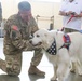 USO therapy dog visits with Soldiers responding to Hurricane Florence