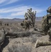 10th Special Forces Group (Airborne) conduct JTAC training at Nellis AFB