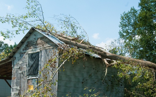 Cutting through Hurricane Florence