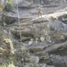 Bayonet Soldiers hone mountaineering skills in India