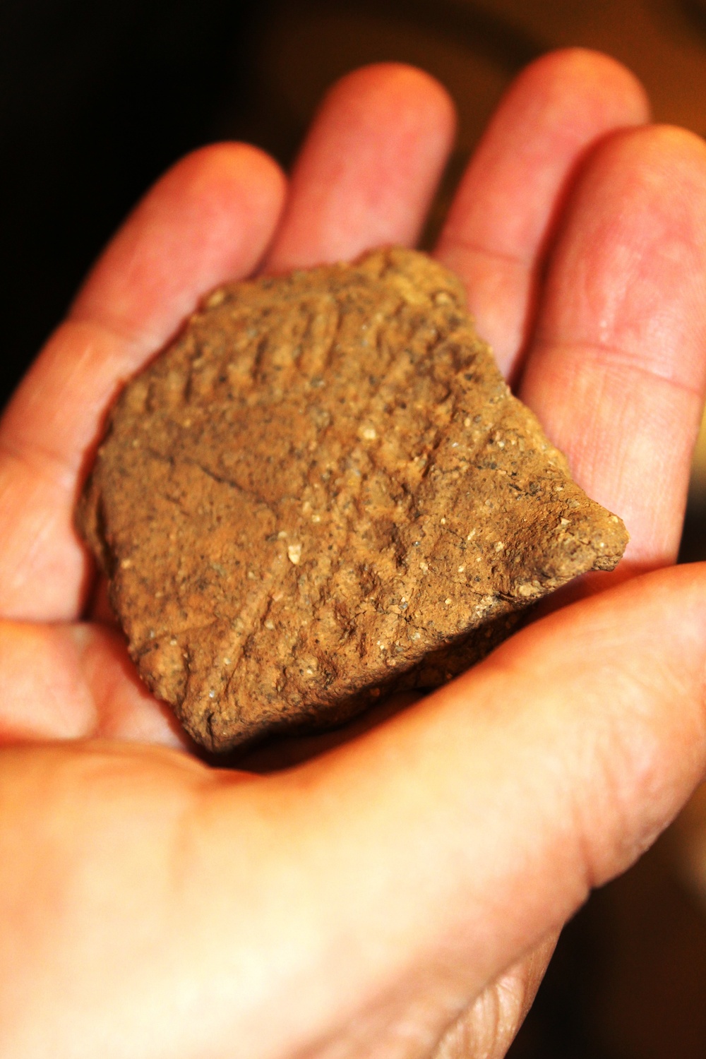 National Public Lands Day: Archaeology has aided in historical understanding of Fort McCoy’s public lands