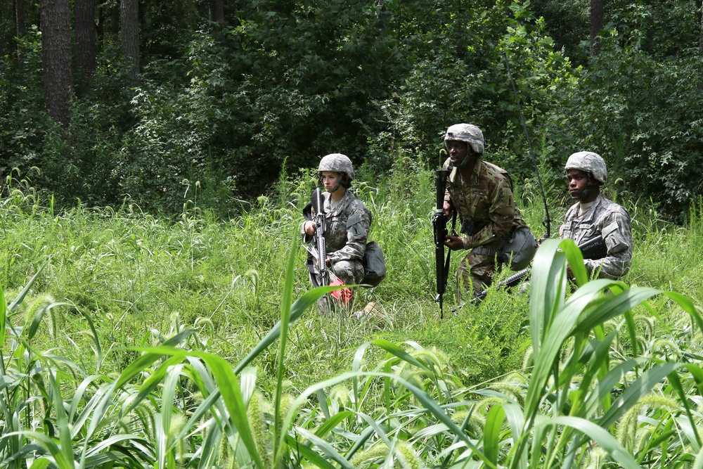 In the field