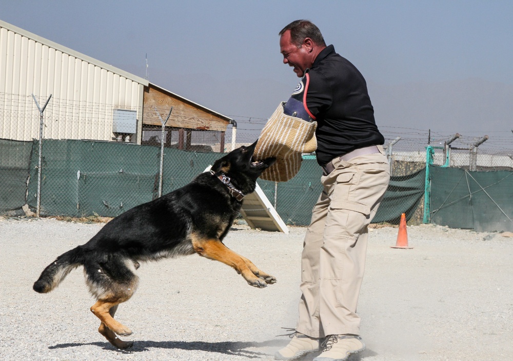 Bagram Airfield K9 Competition: AMK9 and Mad Dog Kennels Sink their Teeth  Into Obedience, Agility and Controlled Aggression