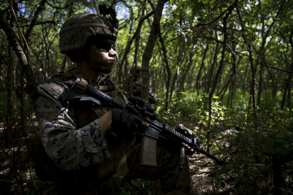 Hawaii Marines take the fight to MCTAB