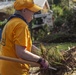 Debris Removal, Hurricane Florence