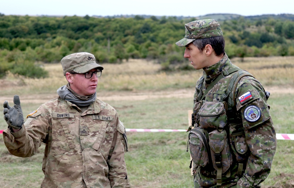 1-7 Cavalry Regiment participates in Slovakian Armed Forces Day