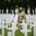 Army National Guard Soldiers take part in World War I Centennial Commemoration in France