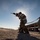 Nellis K-9 unit conducts live-fire training