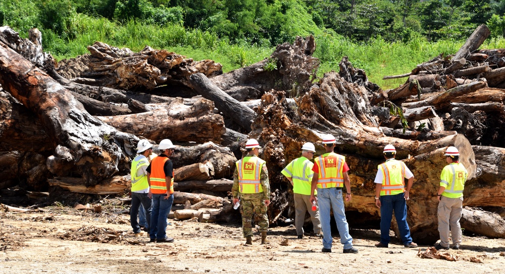 Piles of Wood