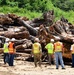 Piles of Wood