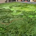 3D Terrain Model