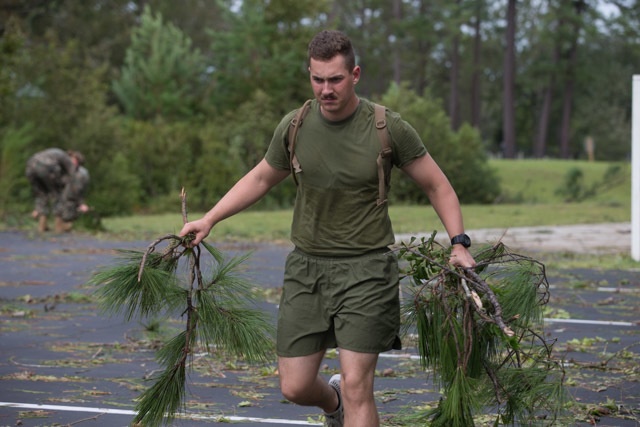 Memorial cleanup