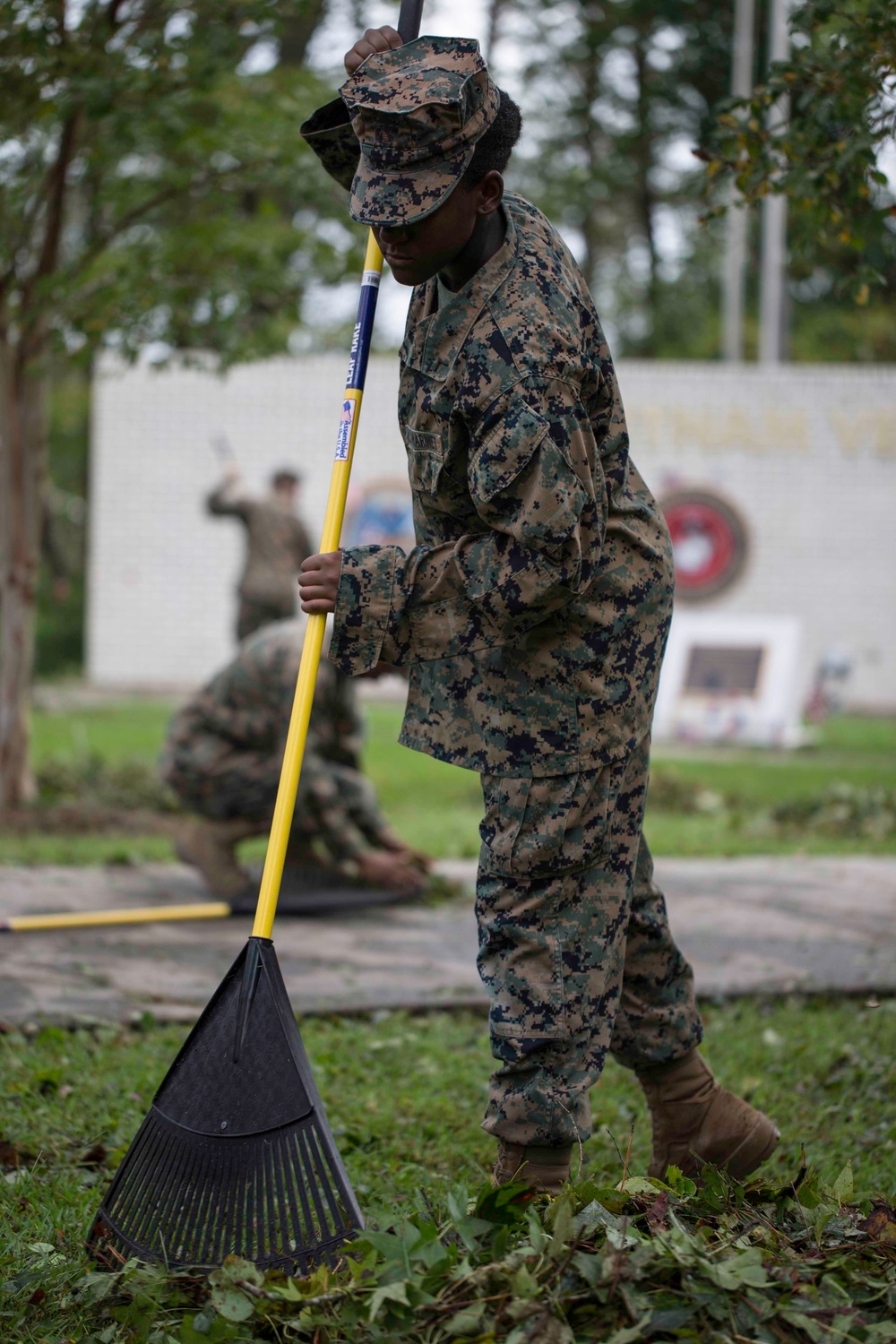 Memorial cleanup