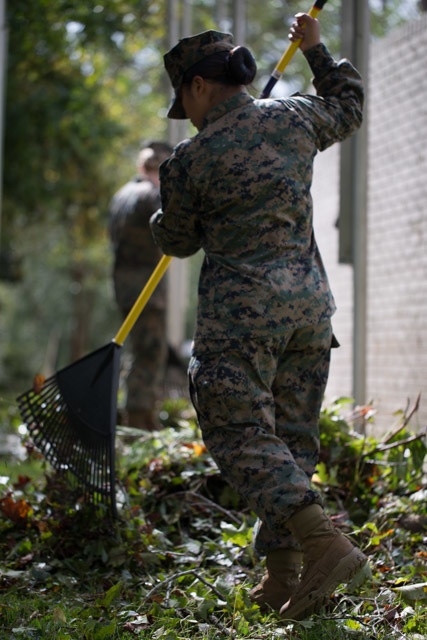 Memorial Cleanup