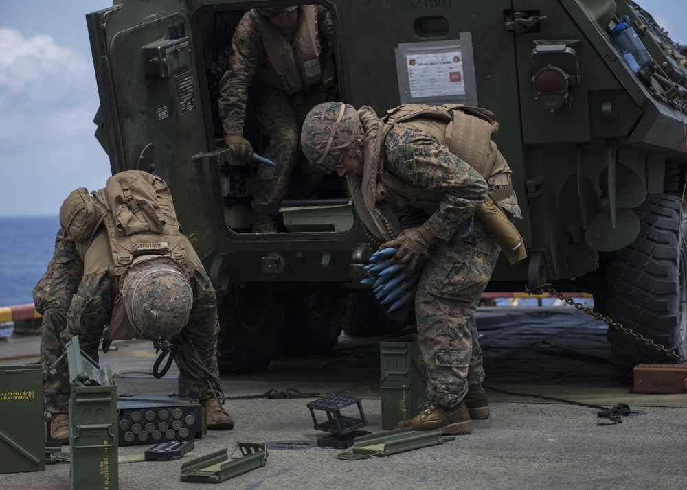 Amphibious Task Force Drill