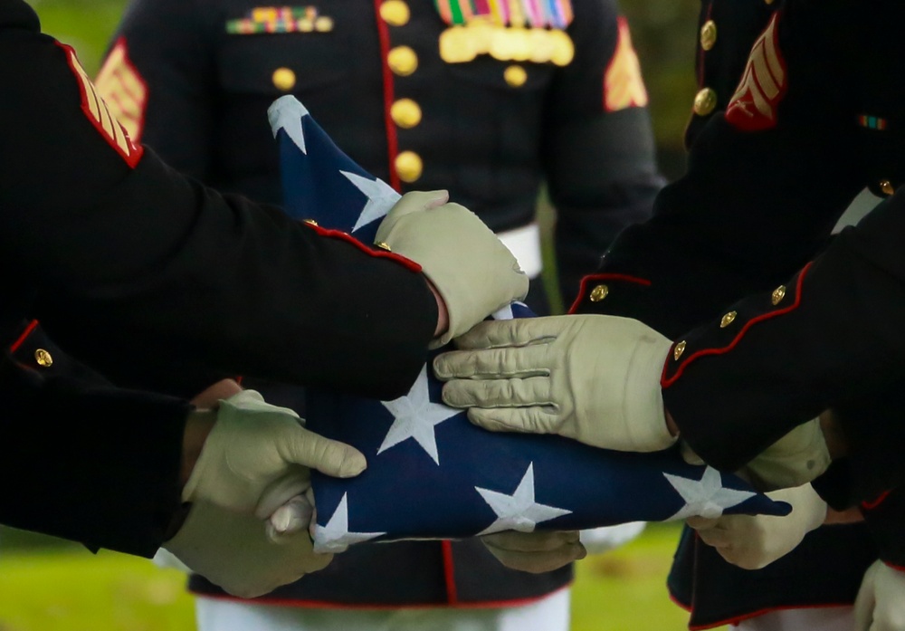 Vietnam Marines laid to rest at Arlington National Cemetery