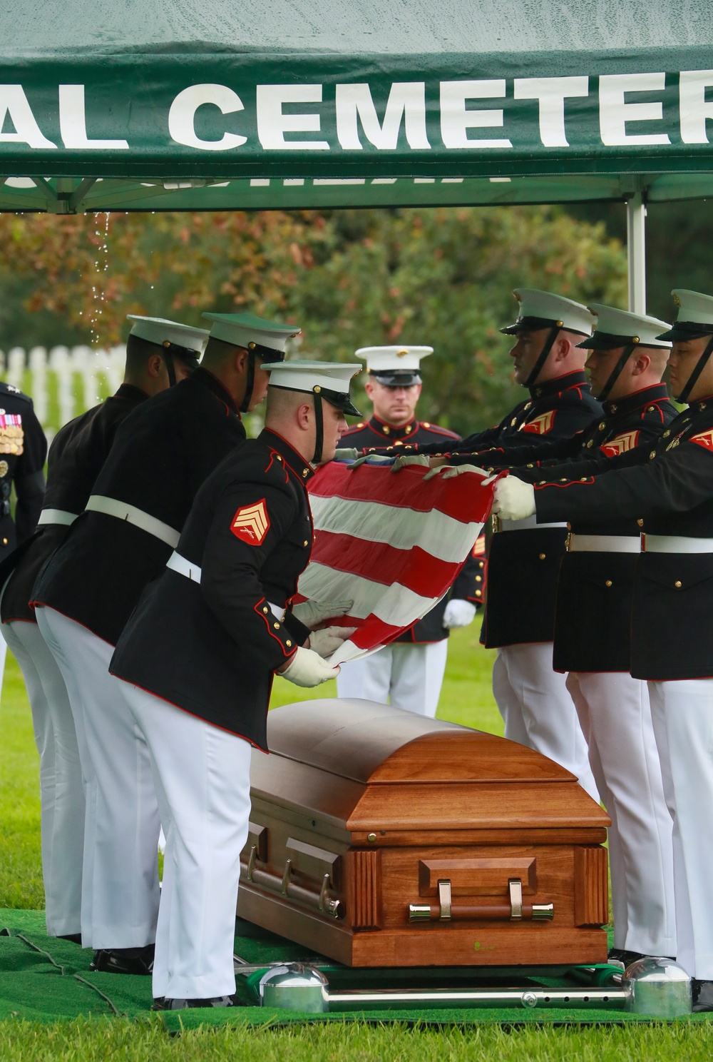 Vietnam Marines laid to rest at Arlington National Cemetery