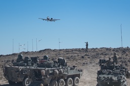 Combine Arms Maneuver Live Fire Exercise